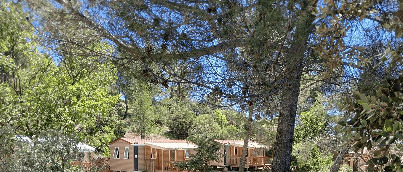 Dorm to rent in an exceptional setting at the Cézanne Sainte-Victoire campsite in Puyloubier