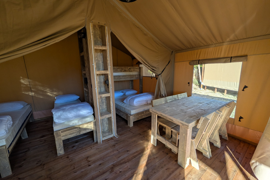 Project-Id-Version: 
PO-Revision-Date: 2026-02-23 14:58+0100
Last-Translator: 
Language-Team: 
Language: nl
MIME-Version: 1.0
Content-Type: text/plain; charset=utf-8
Content-Transfer-Encoding: 8bit
X-Generator: Poedit 3.8
X-Poedit-Basepath: ../../../template
X-Poedit-SearchPath-0: .
